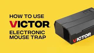 How to Use the Victor Electronic Mouse Trap | M250B