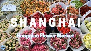 [China/Shanghai] Hongqiao Flower Market上海虹橋古玩花卉城