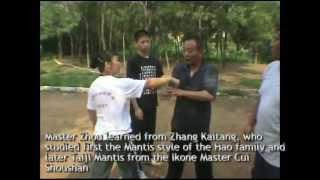 Master Zhou Zhendong's Taiji Tanglangquan - Supreme Ultimate Praying Mantis Boxing