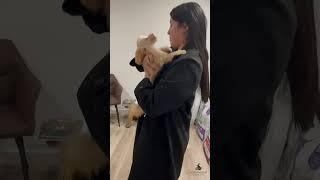 Magic ..Moment Love  #puppies