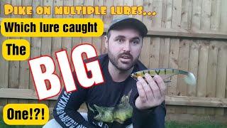 lure fishing for river pike catches with multiple lures