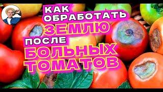 КАК ОЧИСТИТЬ ЗЕМЛЮ ПОСЛЕ ФИТОФТОРЫ БЕЗОПАСНО И БЕСПЛАТНО!