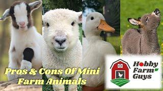 The Pros & Cons of Keeping Miniature Farm Animals