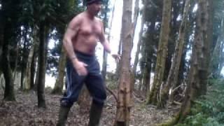 Bristols crazy tree feller