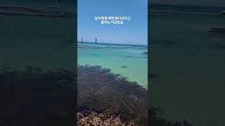 이게 국내라고 ???? #국내여행 #여름휴가 #강원도 #고성 #봉디브 #봉포해수욕장 #봉포항 #삼박한집 #고성가볼만한곳 #아야진해수욕장 #스노쿨링 #스노클링