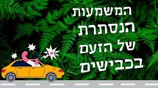 המשמעות הנסתרת של הזעם בכבישים - מיה קרמר בפודקאסט Greenews