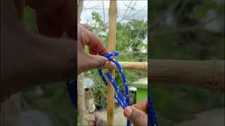 Wow Amazing,, Most popular knot