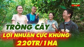 TRỒNG LOẠI CÂY | LỢI NHUẬN CỰC KHỦNG | 220TR /1HA