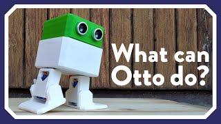 What can Otto DIY robot do?