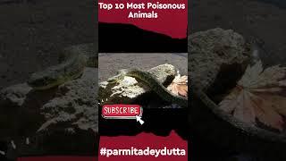 Poisonous animals in the world| Top 10 most poisonous animal in the world| #shorts #shortsviral