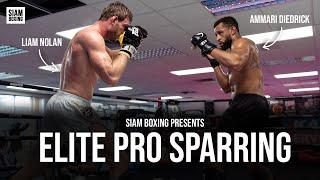 Elite Pro Sparring - Ft Liam Nolan, Ammari Diedrick - 4DMMA