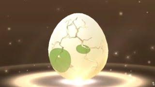 Part 4, Sustainability Week - 2km Egg Hatch (24 April 2024) #pokemongo #2kmegg