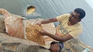 How To Make Fish Food || Village fishing videos