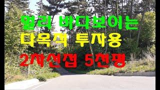 서해바다가 멀리 보이는 다목적 투자자용 임야 5천평 당10만