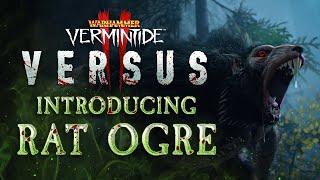 Warhammer: Vermintide 2 - Introducing The Rat Ogre | Versus Gameplay Trailer