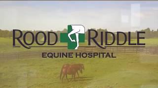 Rood & Riddle Equine Hospital Overview