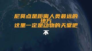 尼莫点是距离人类最远的地方，这里一定是动物的天堂吧？不