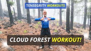 30 minutes of Energy Exercises in a CLOUD FOREST! NO ADS!