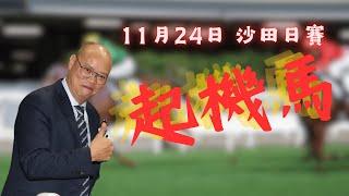 馬房收收埋埋，試閘似差實好！做位置Q冷膽｜11月24日 沙田日賽 起機馬