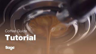 The Barista Touch™ Impress | A guide to getting the best espresso extraction | Sage Appliances UK