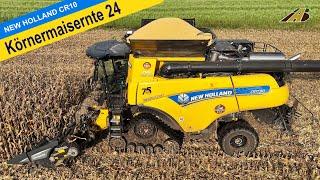 Mähdrescher New Holland CR10.90 & Pflücker Maisernte 2024 Körnermais dreschen Traktor Landwirtschaft