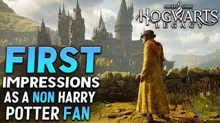 A Non Harry Potter Fan's First Impressions of Hogwarts Legacy