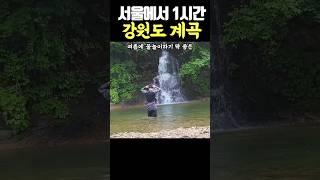 서울에서 1시간 거리 강원도 계곡, 여름에는 무조건 계곡이지 #서울근교여행