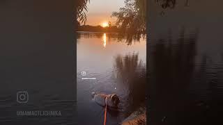 #мамаотличника