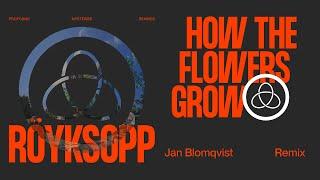 Röyksopp - 'How The Flowers Grow' ft. Pixx (Jan Blomqvist Remix) (Official Visualiser)