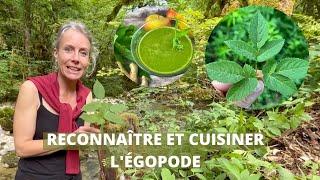 Reconnaître et cuisiner l'égopode