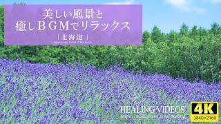 [Healing] Spectacular views of Japan! "Hokkaido" Vast land, nature, and gentle piano BGM