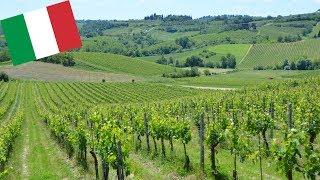 BEAUTIFUL TUSCANY VINEYARDS (AND WINERY), ITALY