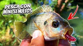 Pescando con INSECTOS de PLASTICO