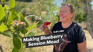 Brew, Baby, Brew! Making a Session Mead (Hydromel) from Blueberries