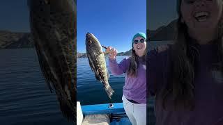 Fishing the Sea of Cortez