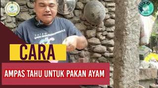 CARA PENGGUNAAN AMPAS TAHU UNTUK PAKAN AYAM