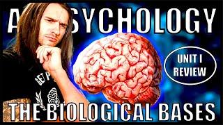 Ace Your AP Psychology Exam | Unit 1 Biological Bases of Behavior (Updated for 2024 Course Changes)