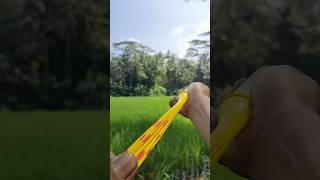 viral slingshot, very easy to make #diyslingshot #outdoors #balloon #bamboo