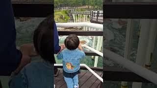 바다왕 버미