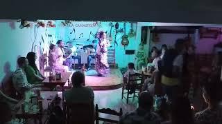 tablao flamenco la Canastera almeria(4)