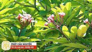 Phút Cầu Nguyện, Thứ Hai 16/06/2025: Vượt qua nỗi sợ