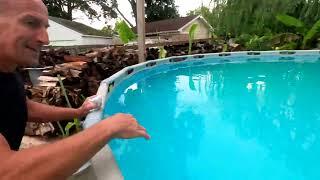 Removing Mustard Algae From Swimming Pool