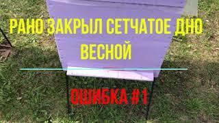 Сырость в улье на сетчатом дне весной