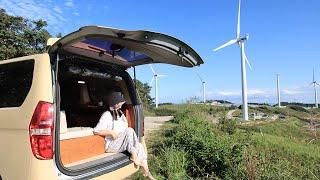 Solo camping Car camping in Korea where the Milky Way is visible Vanlife