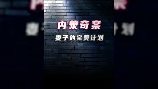 內蒙奇案: 妻子的完美計劃 #案件 #探案 #懸案 #懸疑 #案件解說