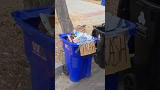 Trash or Recycle ️?  Garbage Truck POV
