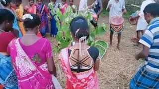 new santhali Karam puja dance video 2021 . bharwa tola karma puja video