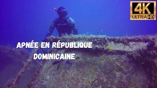 Freediving République Dominicaine Jean-Luc Casares