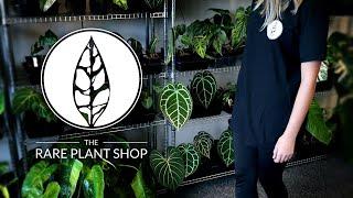 A Tour of The Rare Plant Shop! | 1000+ Rare Plants!