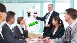 Management in Organizations: Top, Middle & Low Level Managers